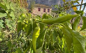 Morfeas Guesthouse